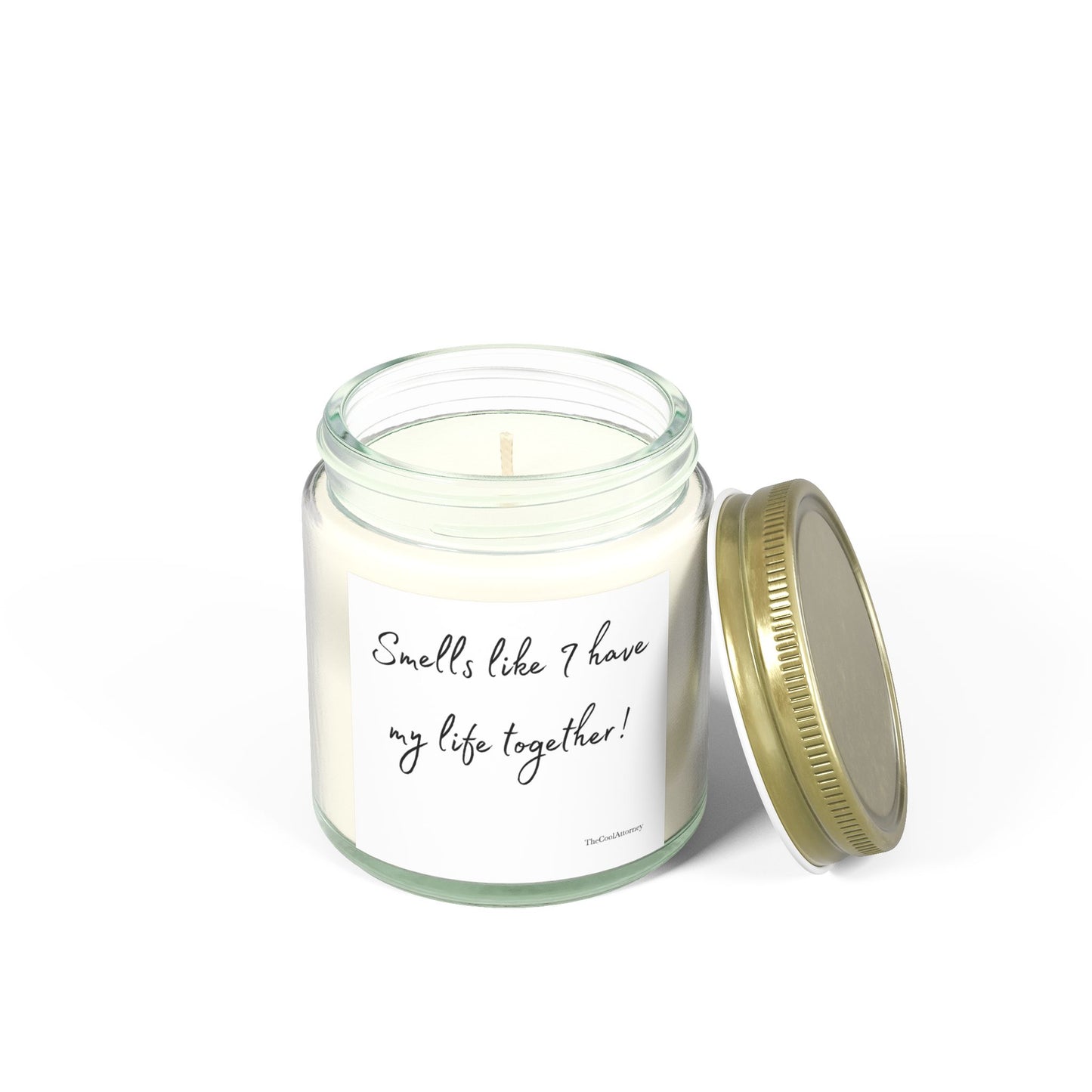 Smells Like I Have My Life Together!-Scented Candle