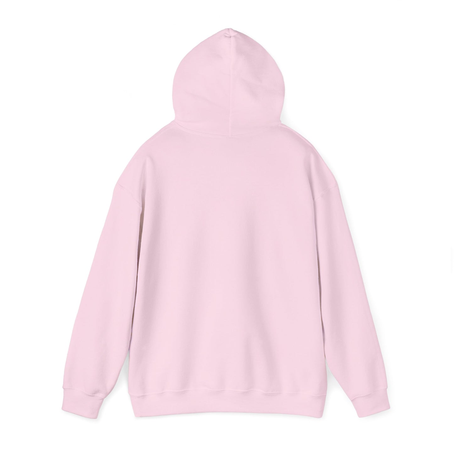 Jurisprudence Hooded Sweatshirt
