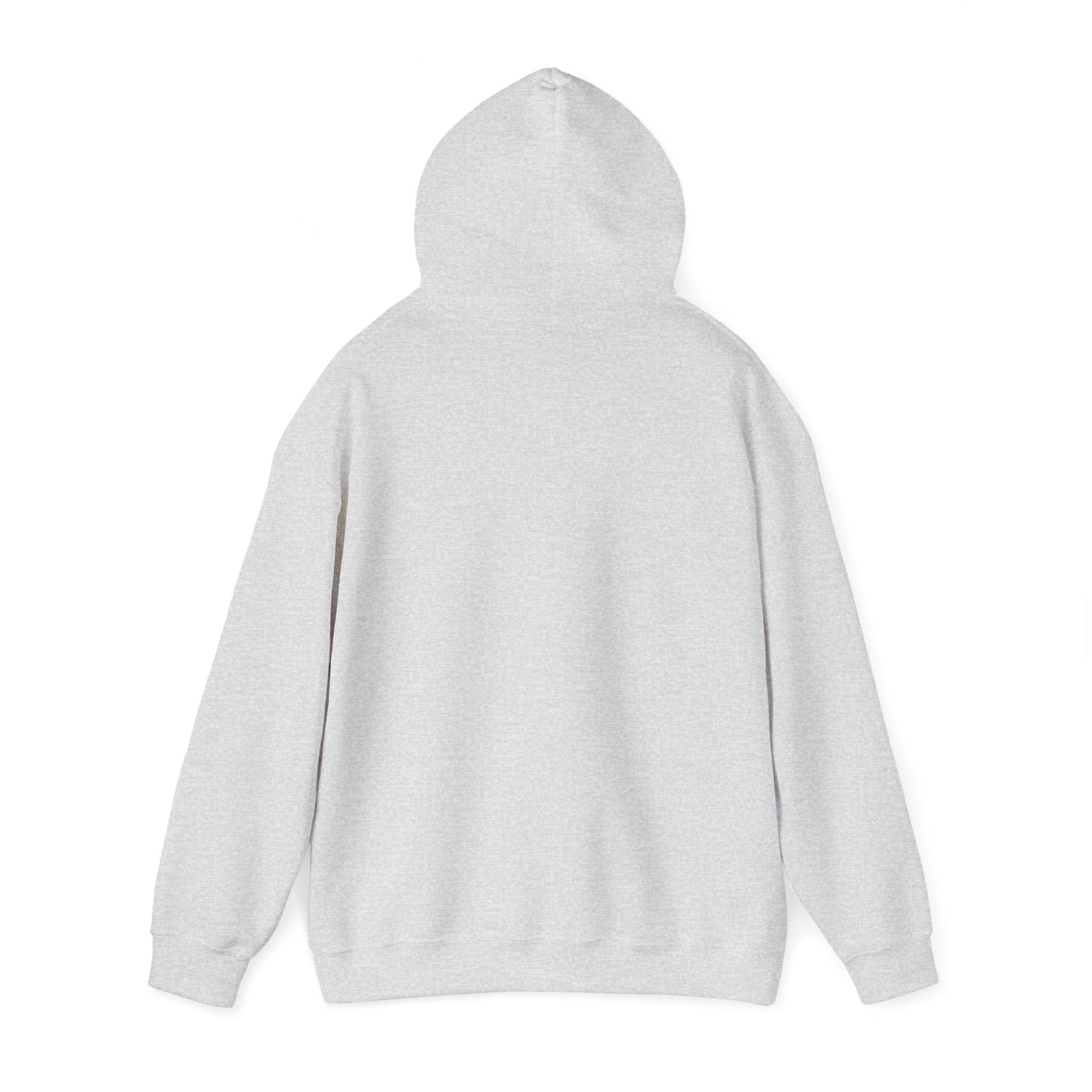 Jurisprudence Hooded Sweatshirt